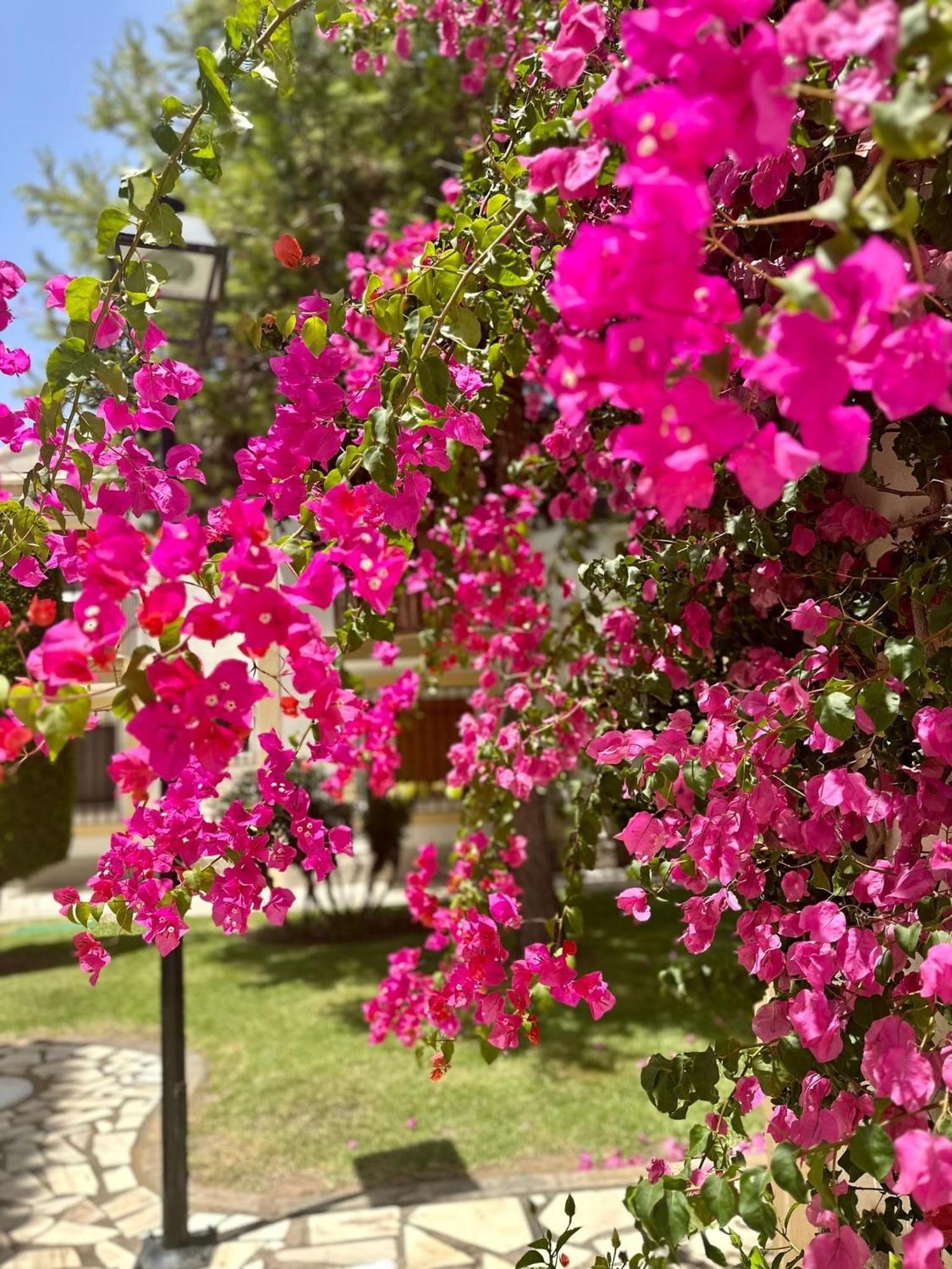 Casa Veranera Vera Costa Playas de Vera Ngoại thất bức ảnh