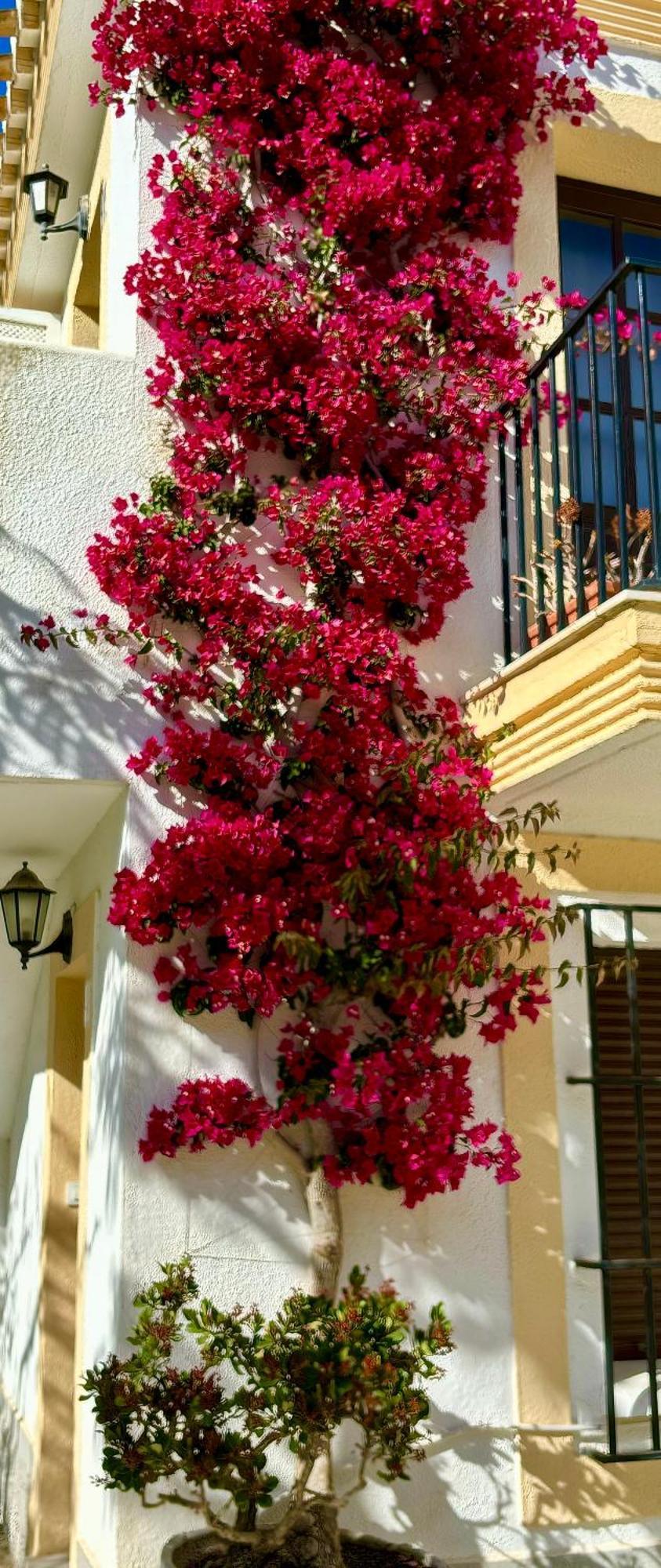 Casa Veranera Vera Costa Playas de Vera Ngoại thất bức ảnh
